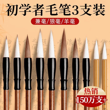 Biyoumi Langhao Student And Brush Calligraphy Beginner Sheep Hair Brush Calligraphy Supplies Special Brush